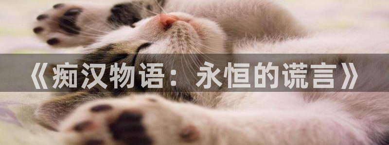 盾之勇者成名寻风车动漫