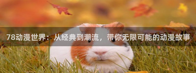 沧元图风车动漫